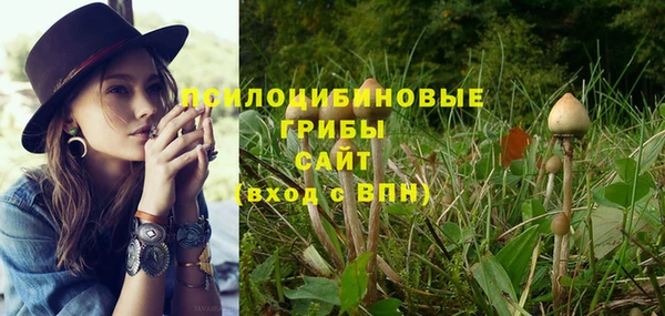 прущий лед Нягань