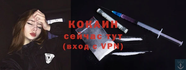 a pvp Няндома