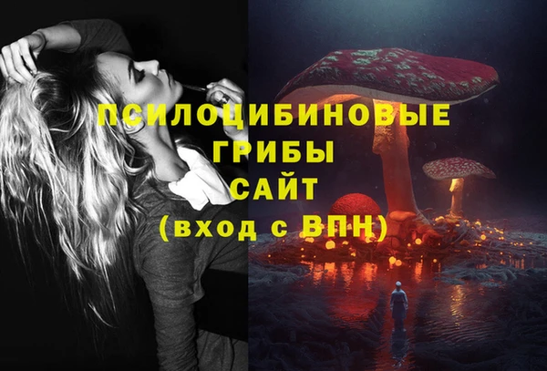трава Нязепетровск