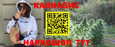 стаф Гатчина