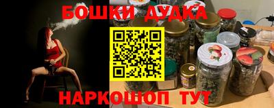 стаф Гатчина