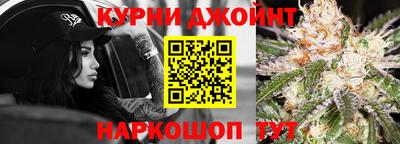 стаф Гатчина