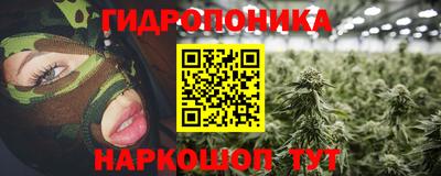 ГАЛЛЮЦИНОГЕННЫЕ ГРИБЫ Кандалакша