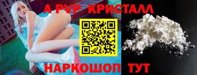 стаф Гатчина