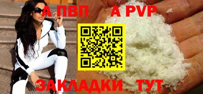 стаф Гатчина