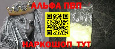 стаф Гатчина