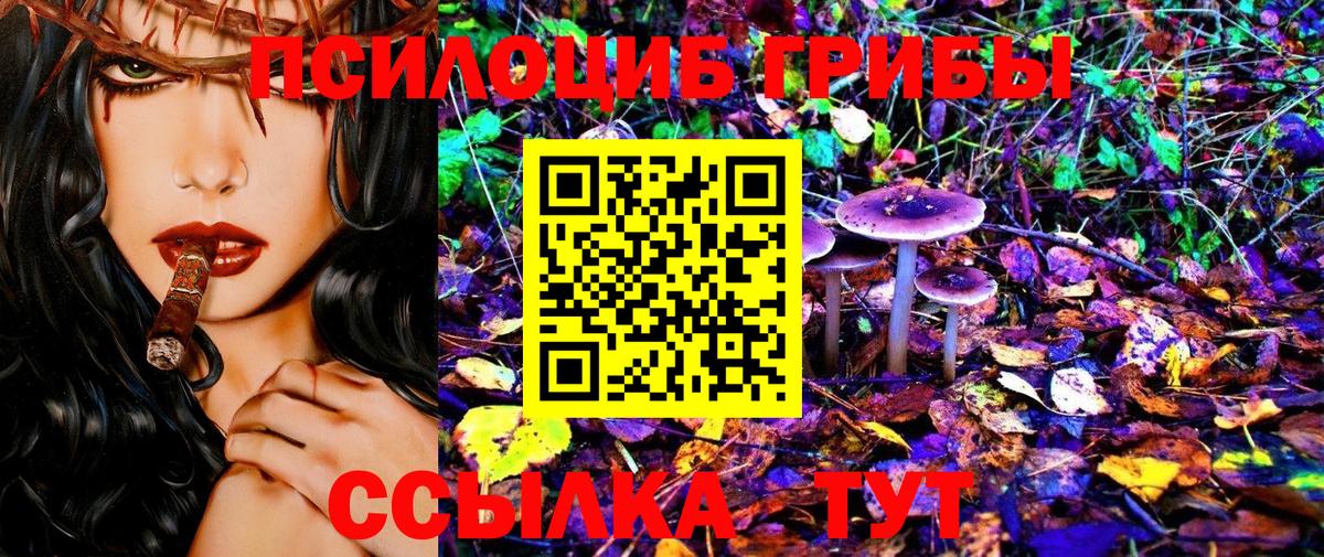 Галлюциногенные грибы Psilocybine cubensis  Галлюциногенные грибы мицелий  Красноуфимск 
