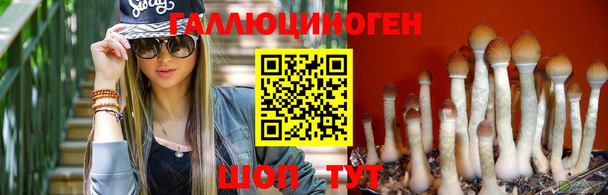 Псилоцибиновые грибы мицелий Красноуфимск